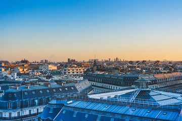 植物妈妈有办法照样子写句子