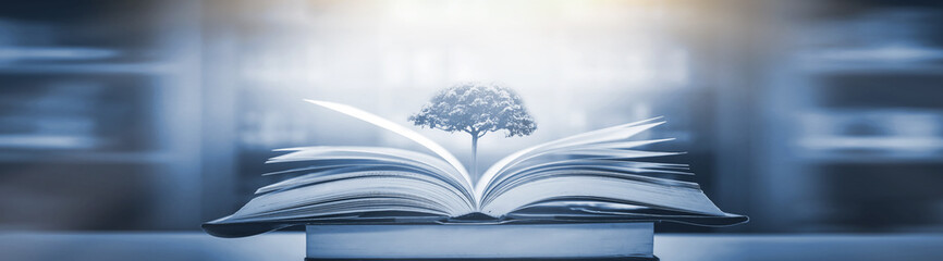 马油霜和马油水主要什么功效？