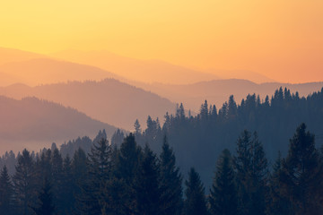 玫瑰花加甘草泡水有什么功效