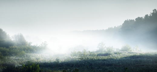 用淘米水洗脸是大米还是小米那一种最好