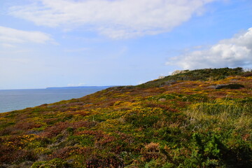 雪肌精好用吗？