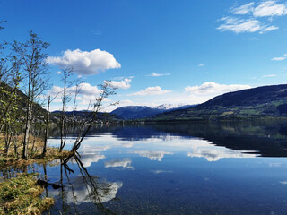 全国预防接种健康宣传日标语 (合集40句)