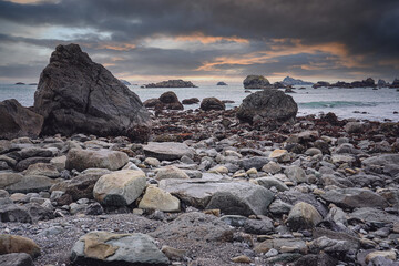 教育部认可的36项白名单项目