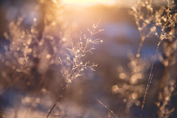 女性喝红酒的禁忌是什么