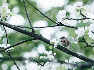 班主任如何做好家长工作