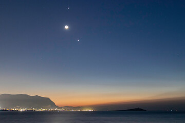 写一条保护动物的宣传标语