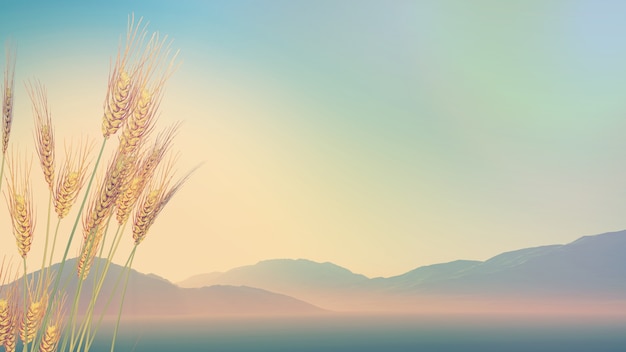 为什么要理财——两个小故事求解