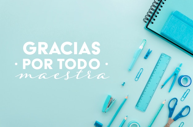 动物纲是什么意思